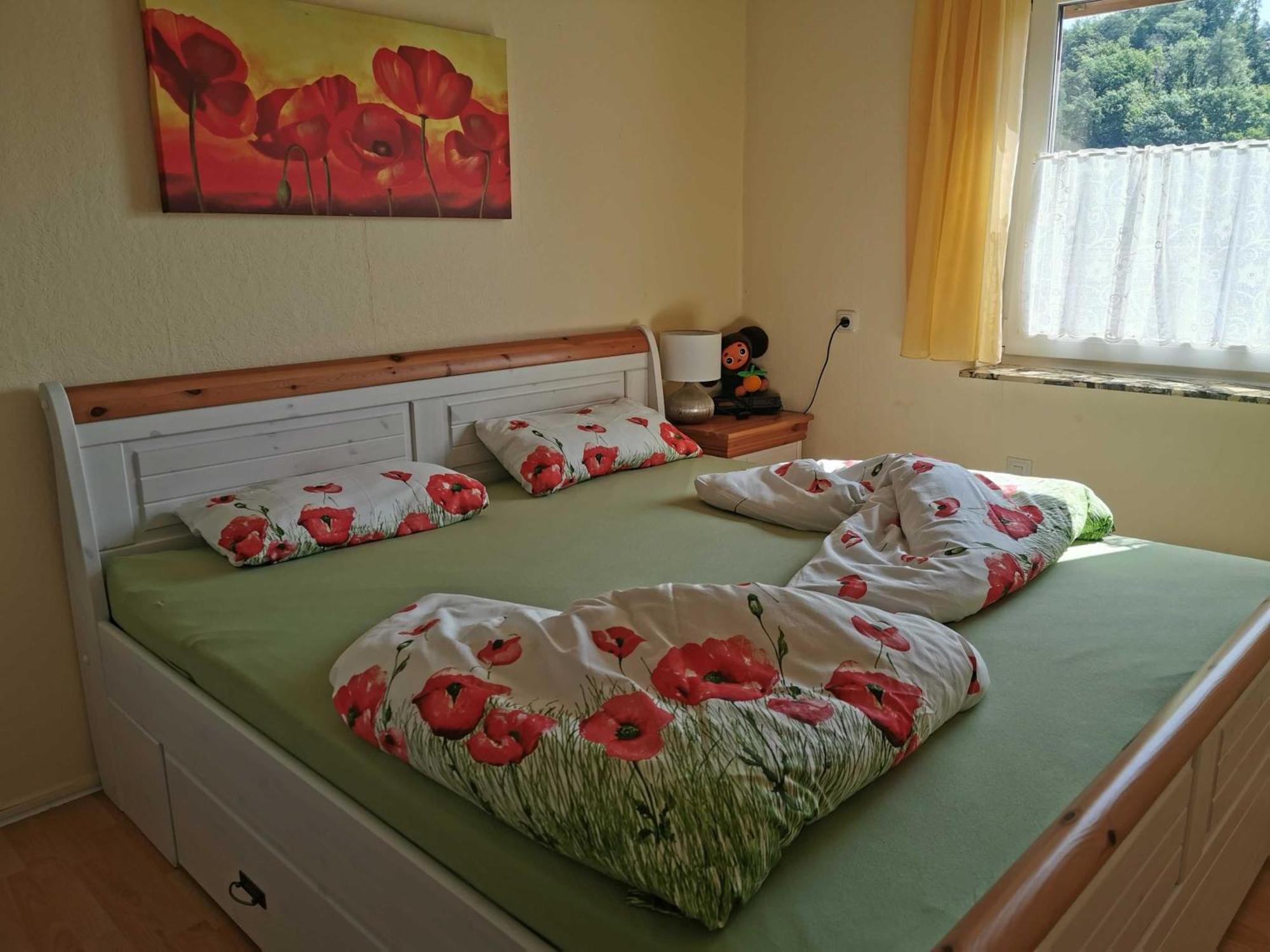 Ferienwohnung Brigitte Reichelsheim Extérieur photo